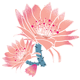 35651ab554cf0b4ec13b5a36555540db.png
